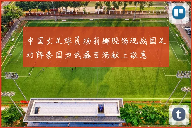 中国女足球员杨莉娜现场观战国足对阵泰国为武磊百场献上敬意